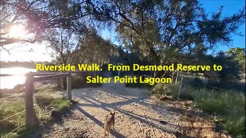 Riverside Walk. From Desmond Reserve to Salter Point Lagoon with Cheeky the dog.