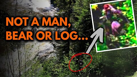 3 Chillingly Compelling Bigfoot Photos (And Why Logic Says They’re Real)