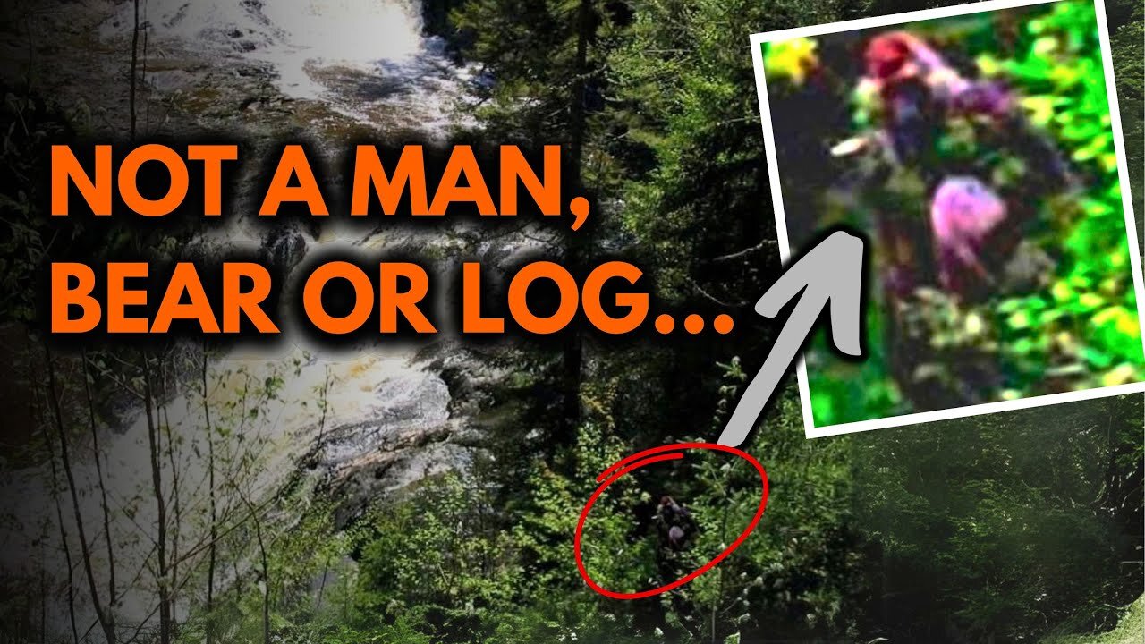 3 Chillingly Compelling Bigfoot Photos (And Why Logic Says They’re Real)
