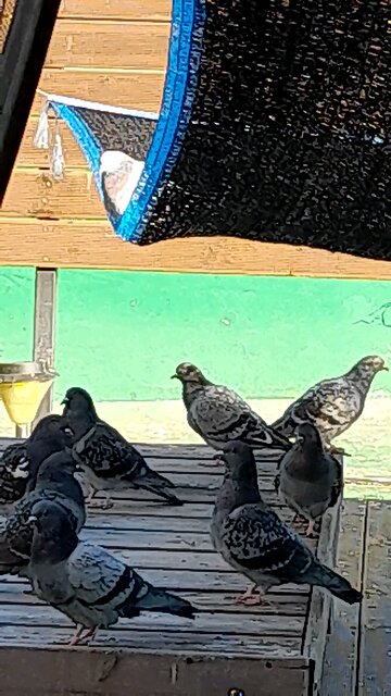 20251221. God made the world.