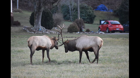 We no man after the flesh 2 Corinthians 5