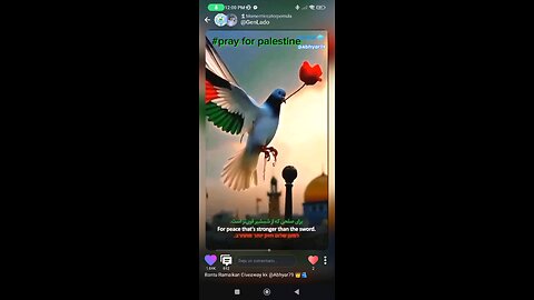 free Palestine
