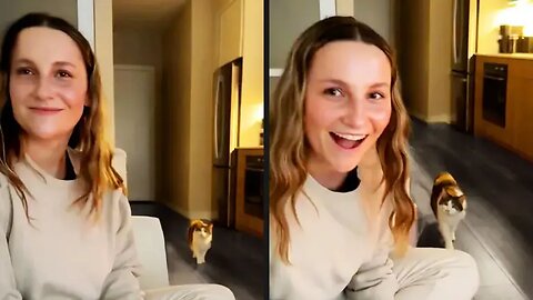 Your Daily Dose of Pets / She Knew Something Was Off