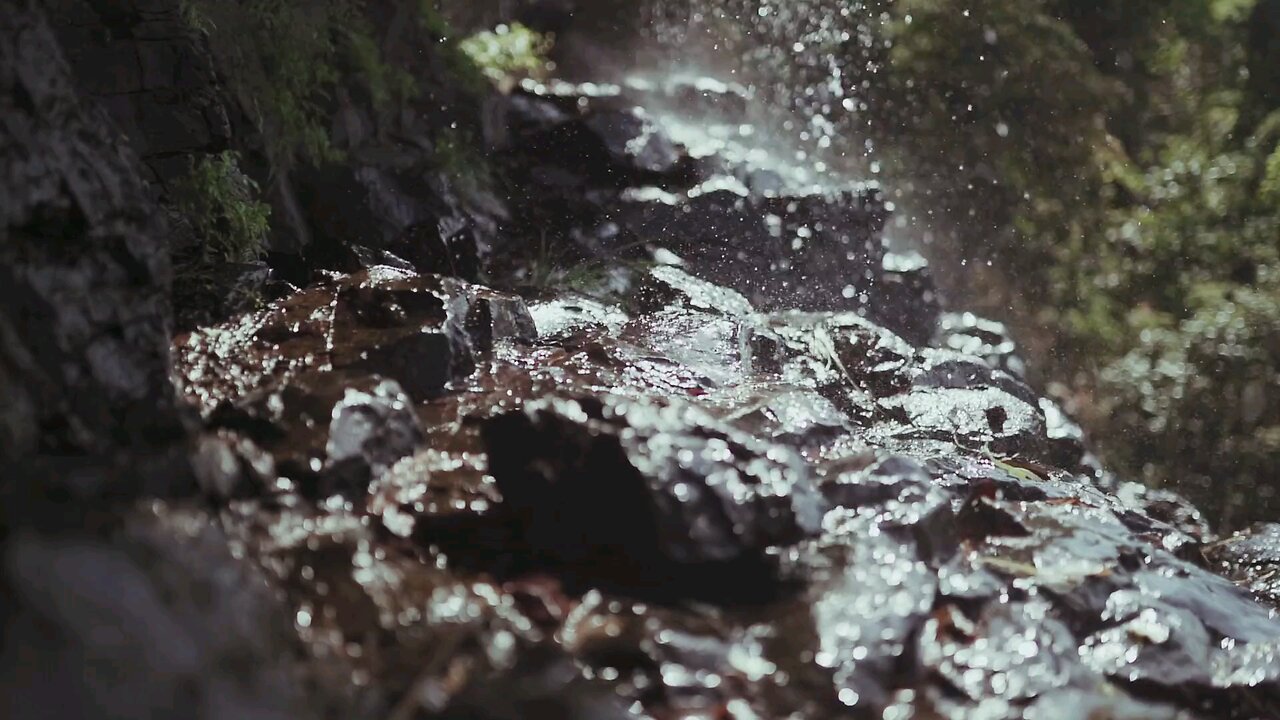 Water flowing down a rocky stream in the forest