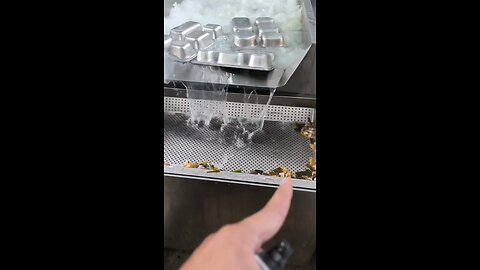 A Tunnel Dishwashing Machine