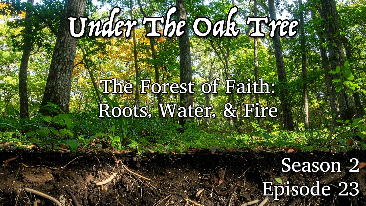 UTOT S2E23 — The Forest of Faith: Roots, Water, and Fire