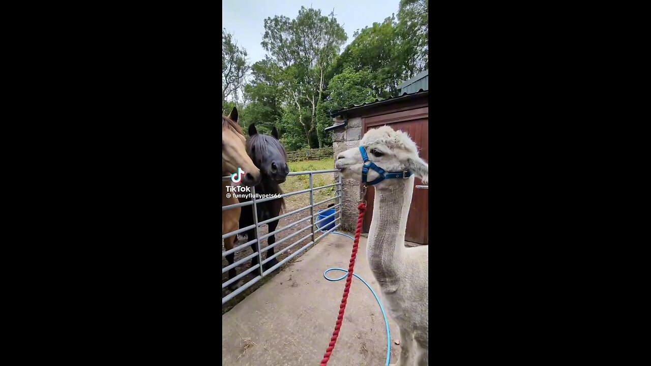 wait for it