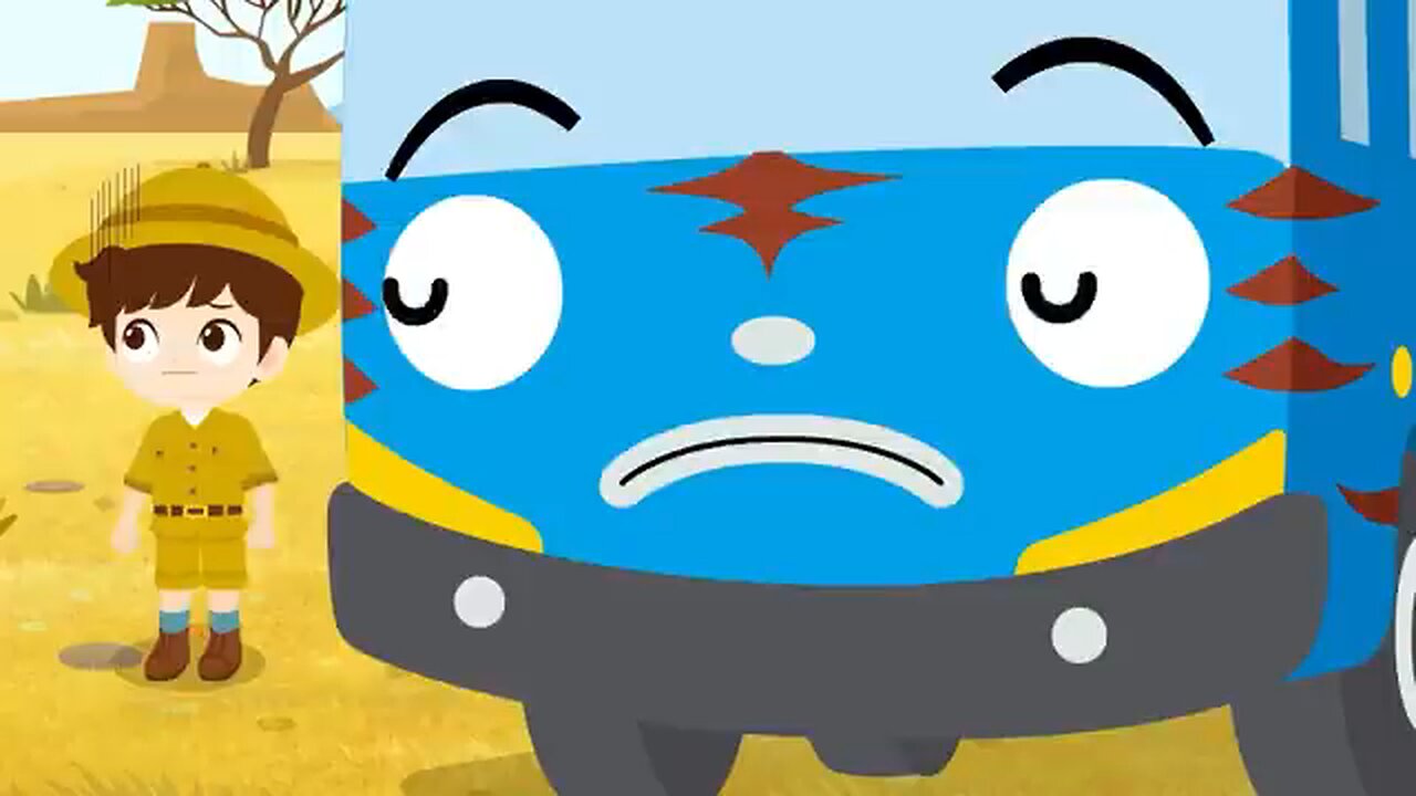 funny videos