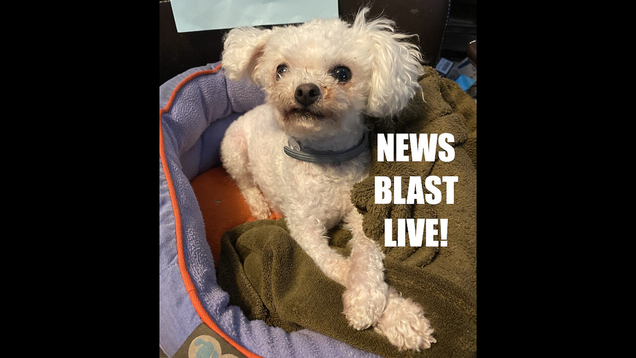 News Blast Live!