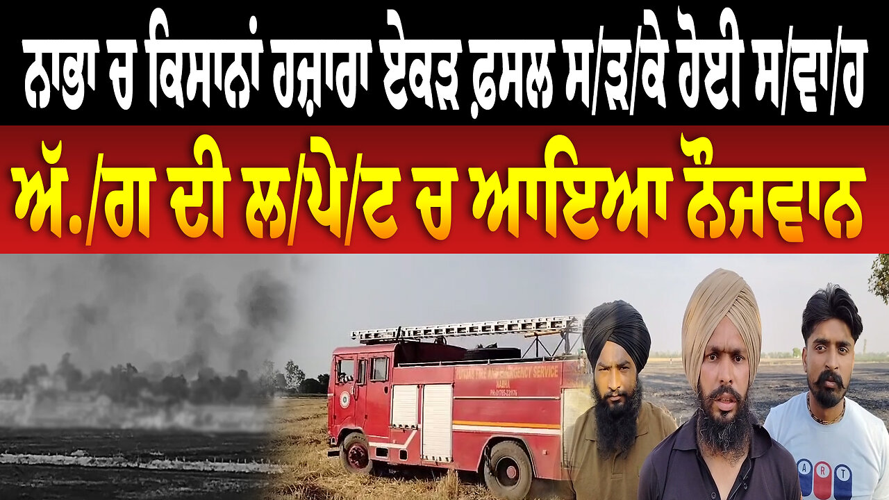 ਨਾਭਾ ਚ ਕਿਸਾਨਾਂ ਹਜ਼ਾਰਾ ਏਕੜ ਫ਼ਸਲ ਸ/ੜ/ਕੇ ਹੋਈ ਸ/ਵਾ/ਹ ਅੱ./ਗ ਦੀ ਲ/ਪੇ/ਟ ਚ ਆਇਆ ਨੌਜਵਾਨ