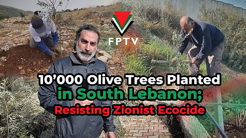 10’000 Olive Trees Planted in South Lebanon; Resisting Zionist Ecocide