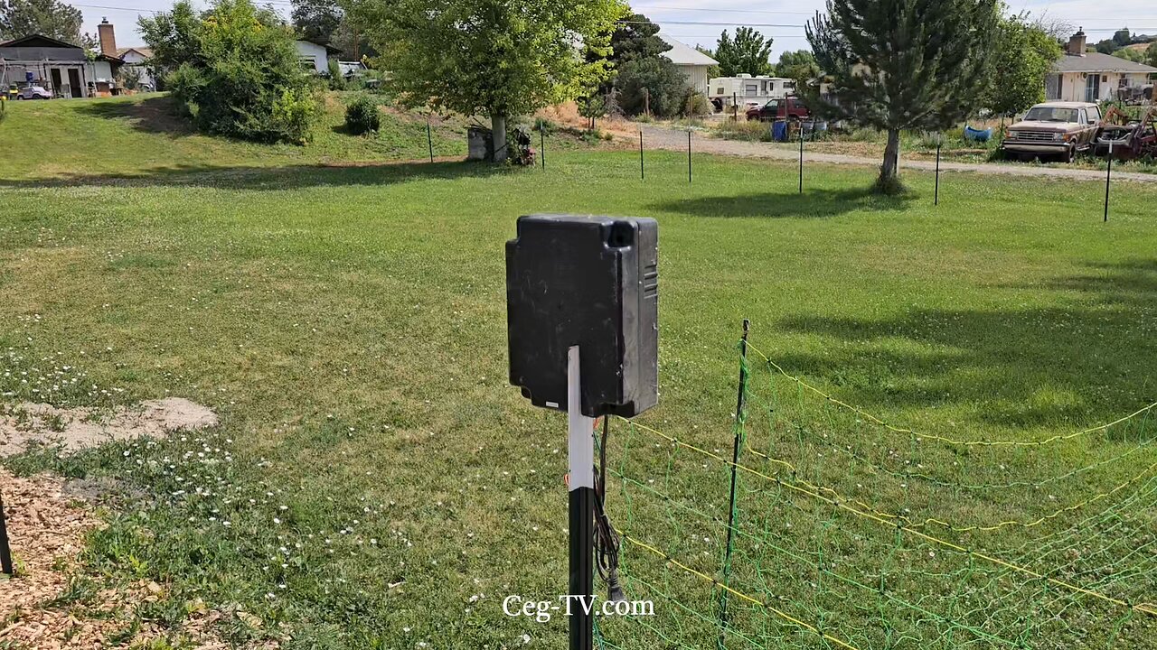 Graham Family Farm: Hotwire Netting - 10:15 AM June 17 2025