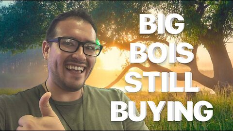 Back from the Brink: Catching Up on the Market's Wild Ride