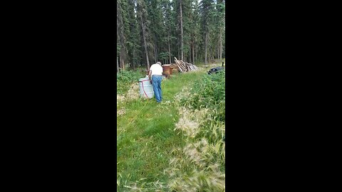 Grandpa testing an old shotgun tied to a barrel