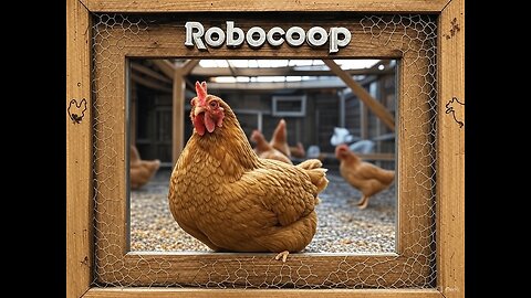 Robocoop! 🐔 24/7 Chicken Coop, Live Egg Laying Hens 🥚🍳 #livestream