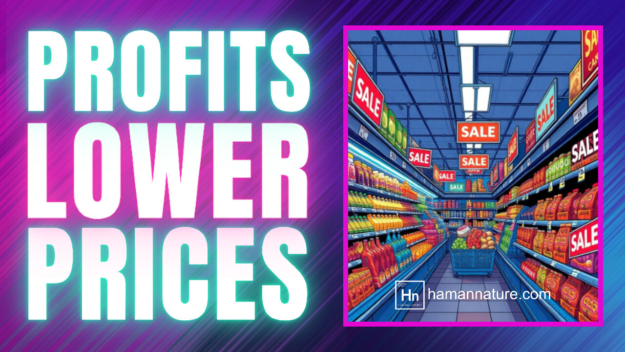 How PROFITS Actually Tend To Drive Down PRICES | Hn 151