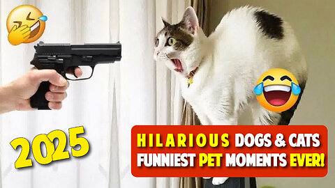 Hilarious Dogs & Cats 2025 🐶😼 | Funniest Pet Moments Ever!