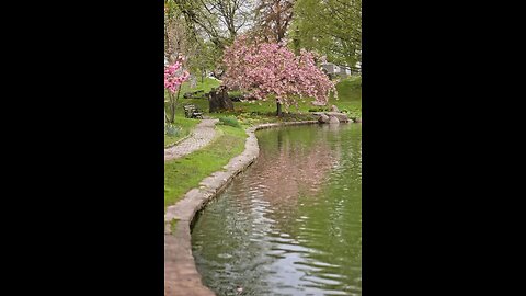 The beauty of nature