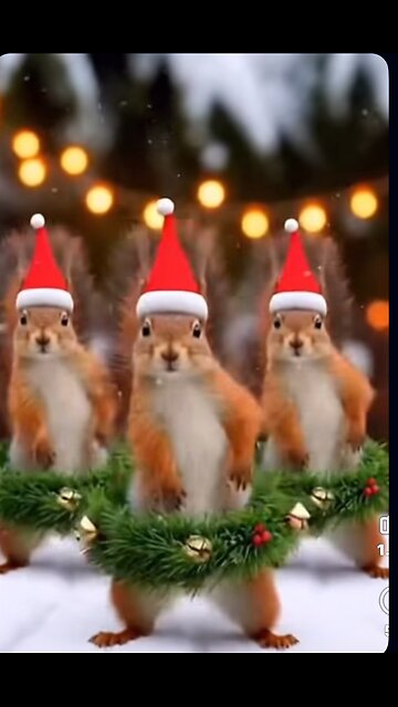 Dancing Squirrel Gets Groovy to Christmas Music 🐿️🎄