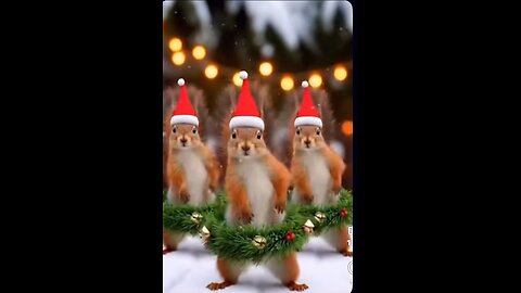 Dancing Squirrel Gets Groovy to Christmas Music 🐿️🎄