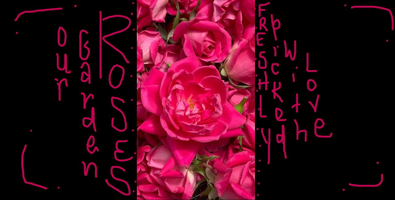 Freshly Picked Roses