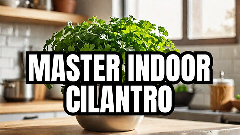 Homegrown Cilantro Secrets: Tips for Indoor Growth Mastery!