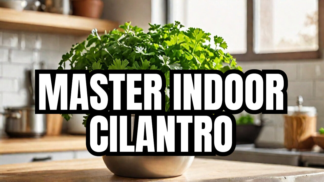Homegrown Cilantro Secrets: Tips for Indoor Growth Mastery!