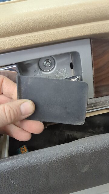 BradKuz76 2012 - 2019 Ford Pickup inner door panel.