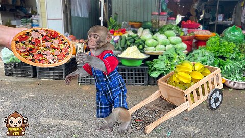 Monkey YiYi harvests star fruit to sell to buy pizza and then