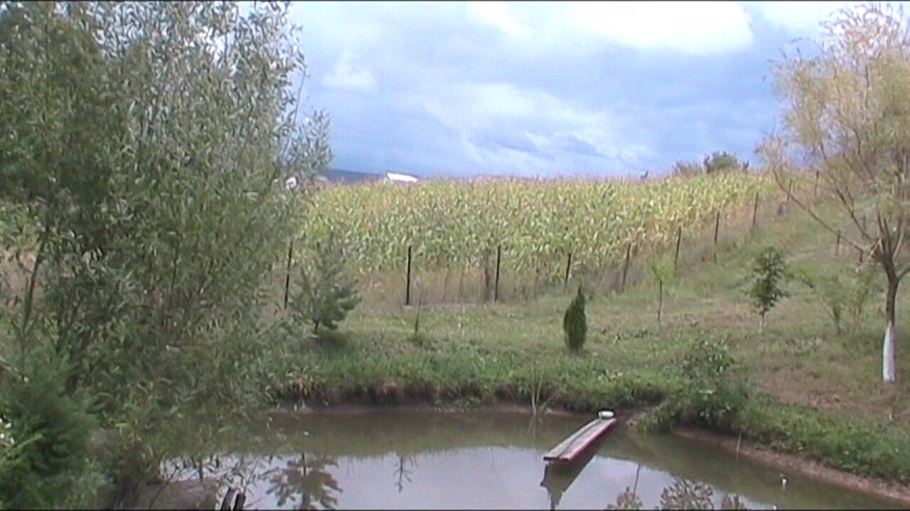 Suceava, 2013