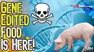 GENE EDITED FOOD IS HERE! - FDA Approves Zombie Pork As Supply Chain Collapses & AI Takes Over!