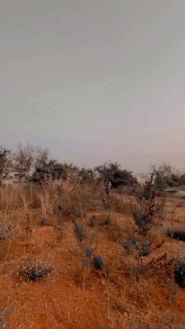 sata thila prema mora swartha nathila