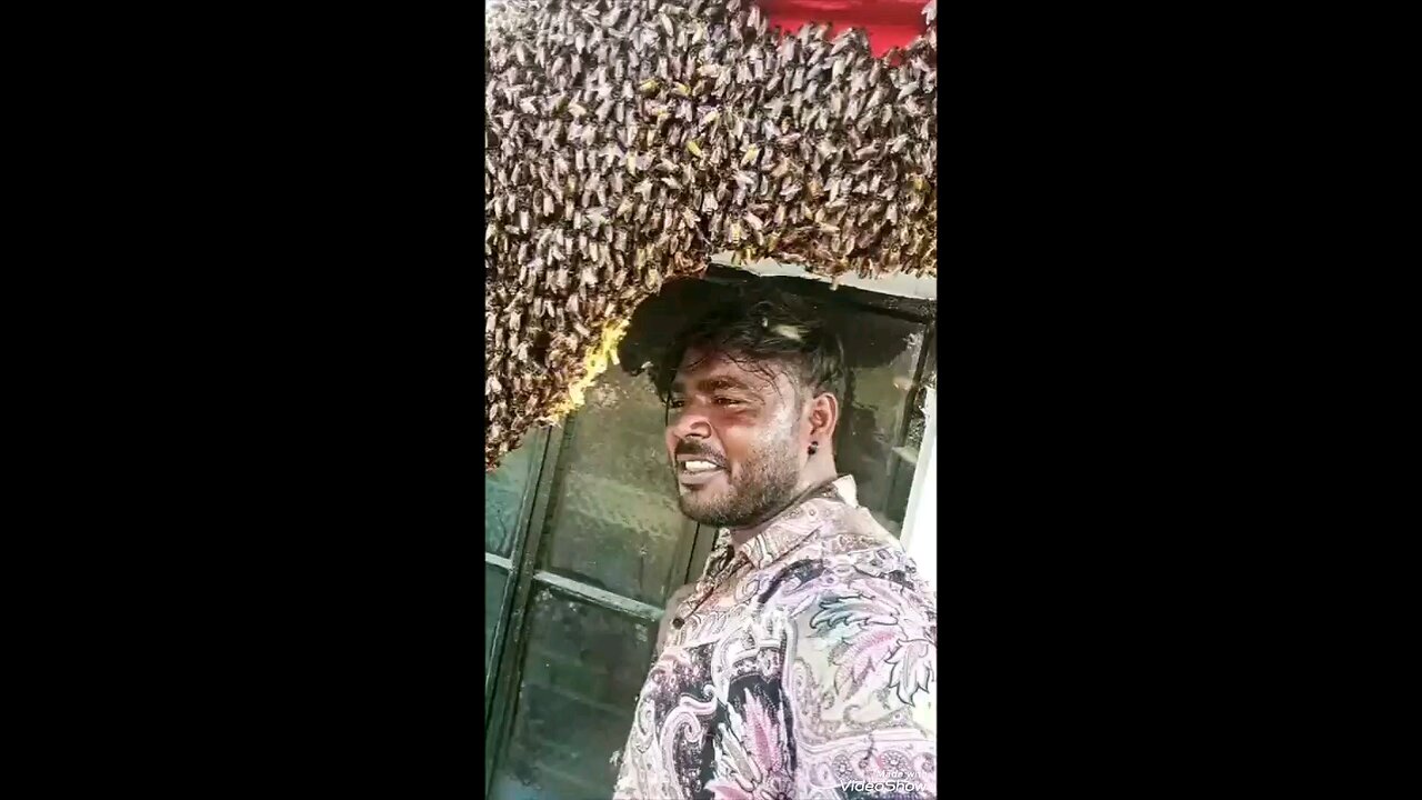 Bhai aapko Dar Nahi Lagta Hai😂