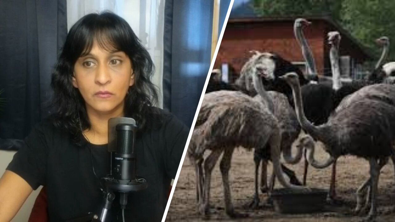 It was a massacre. The gut wrenching animal mass murder in BC.