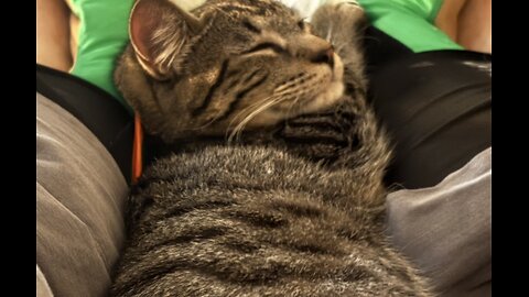 Episode 3049 CWSA 12/21/25