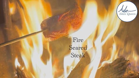 Ada Alien Queen • Rebecca Ann Eats • Take #00005 • Fire Seared Steak