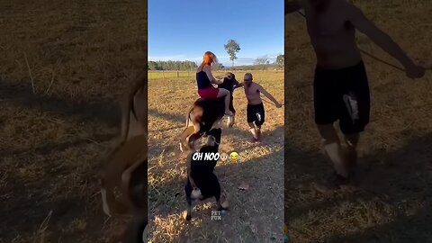 The funny animals #funnyanimals #animals #pets #shorts