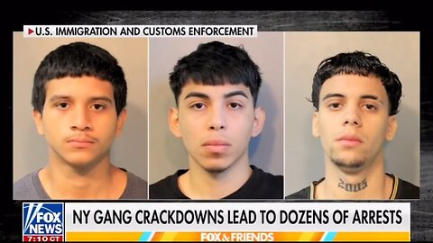 ICE has arrested 1600 criminal illegal migrants on Long Island