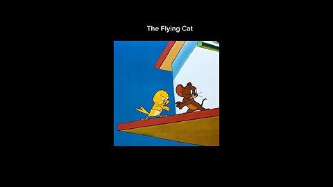 Flying Cat