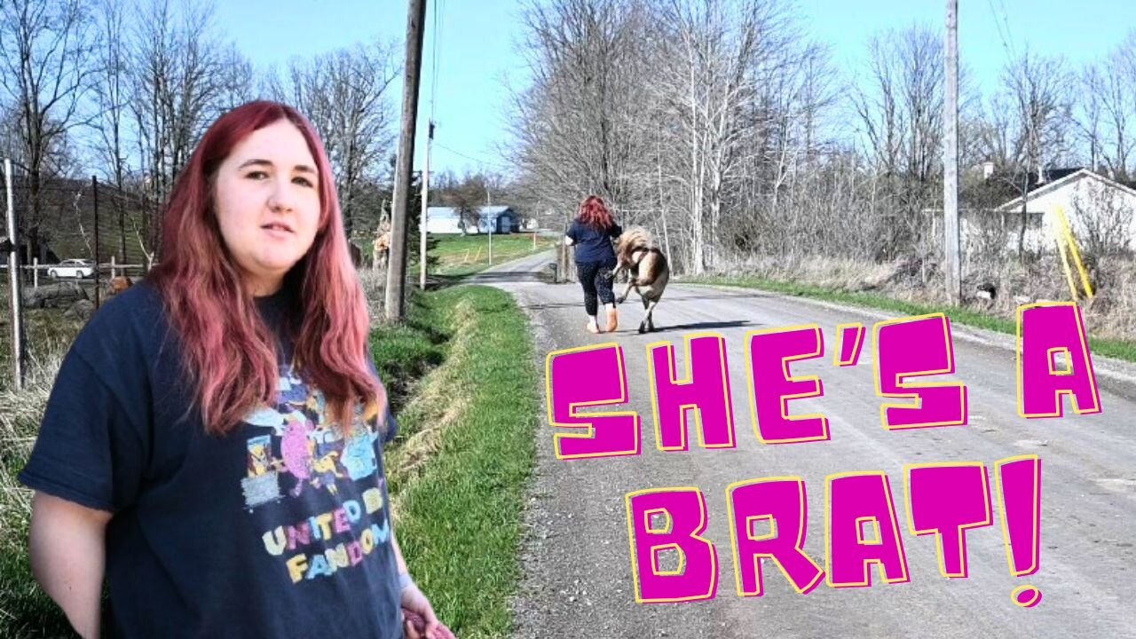 Her HORSE Is A BRAT!