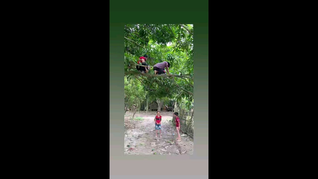 मेरी गाय गुम गई है