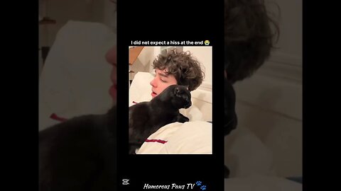 This Pet’s Comedy Game Is Strong!