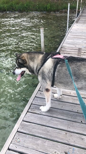 Friday July 11, May the Lord bless you.