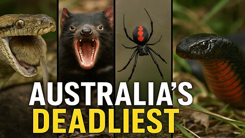 Hunting in the Shadows: Australia’s Fiercest Killers Revealed
