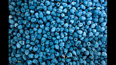 Blueberry