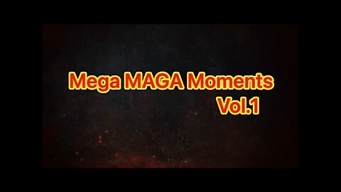 Mega MAGA Moments Vol.1