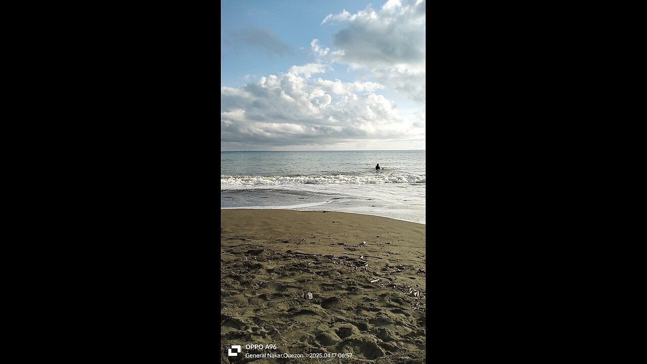 Sea You Sunshine's