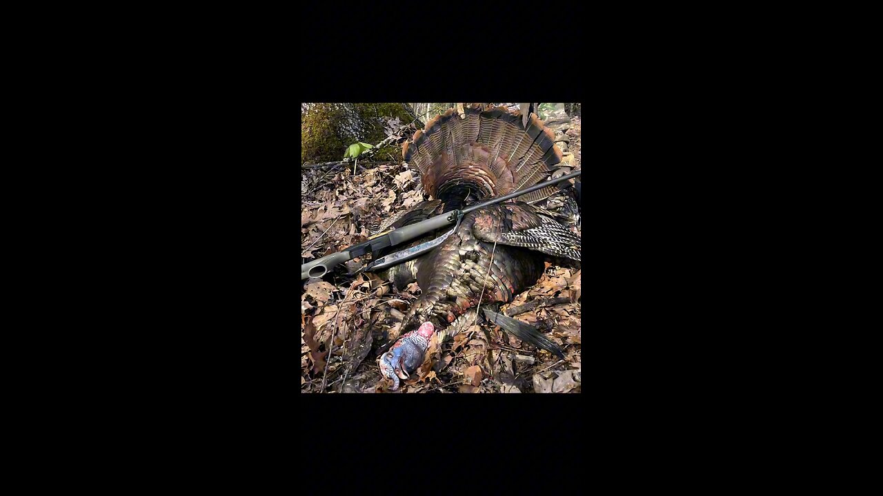 What we do when someone gets their target species. #turkey #turkeyhunting #dadgoals