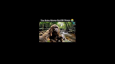 Rasta Monkey World
