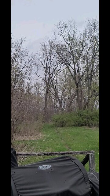 Strong Winds ahead of possible Tornado outbreak Vernon, Illinois 04-02-2025